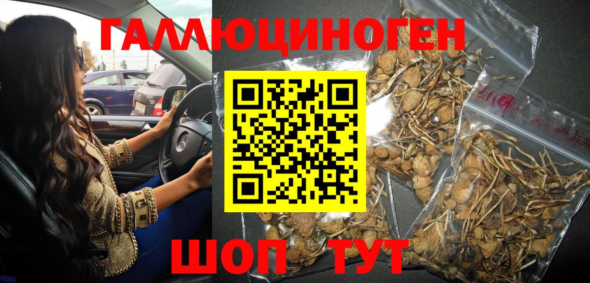 Галлюциногенные грибы Magic Shrooms  Вход с VPN  Жуковский 