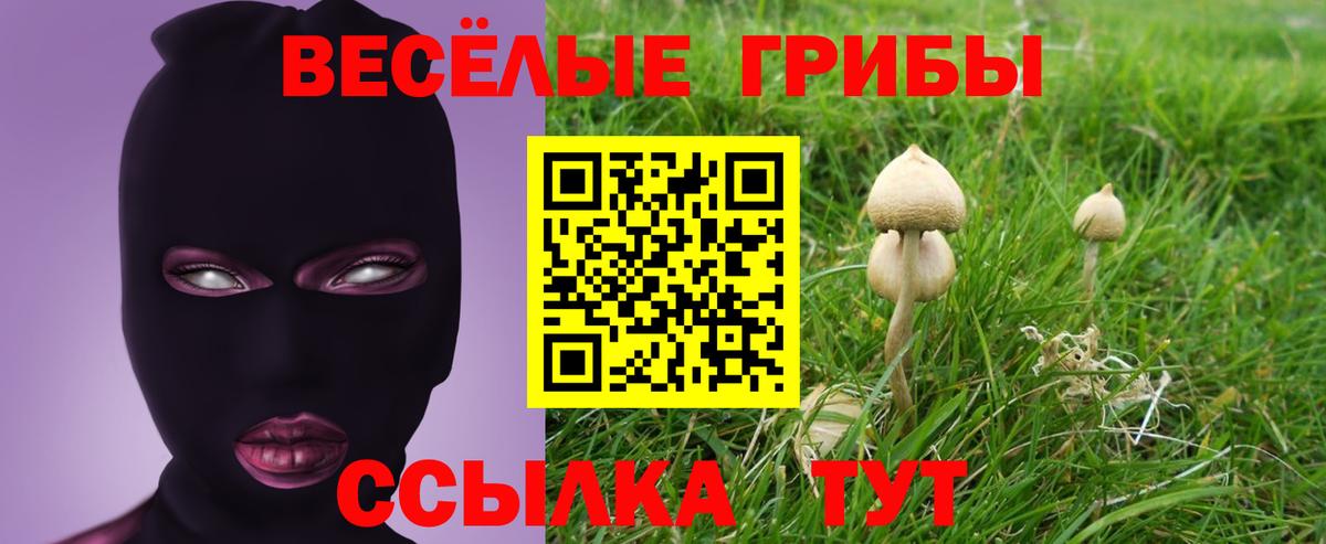 Псилоцибиновые грибы MAGIC MUSHROOMS Жуковский
