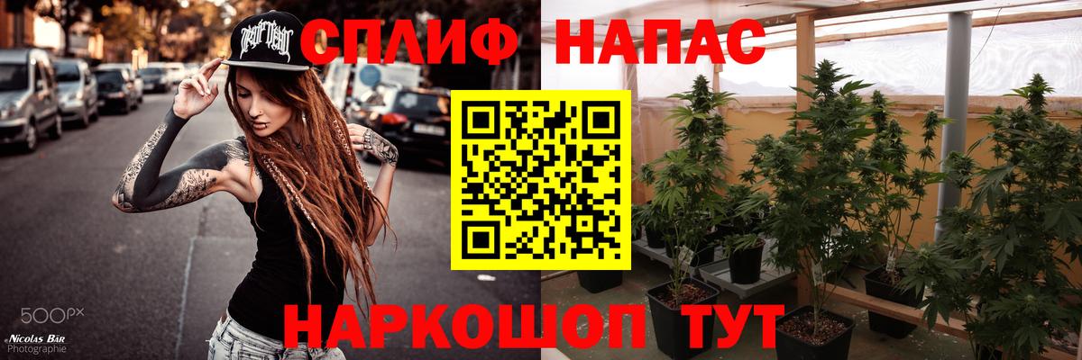 Жуковский  Бошки марихуана гибрид  Вход с VPN  Каннабис Bruce Banner  Бошки марихуана марихуана 